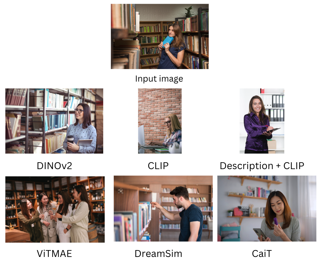 Sample model output for most similar image for a single input