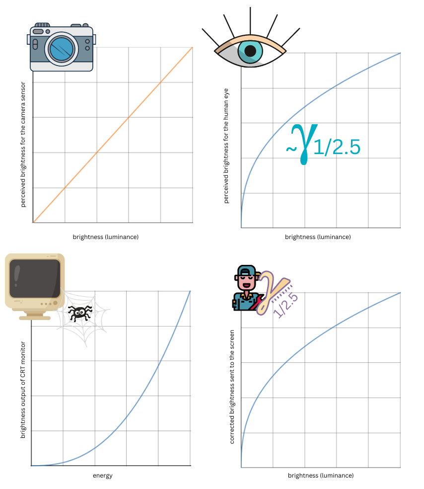 Gamma correction - camera sensor vs human vision vs CRT screens.